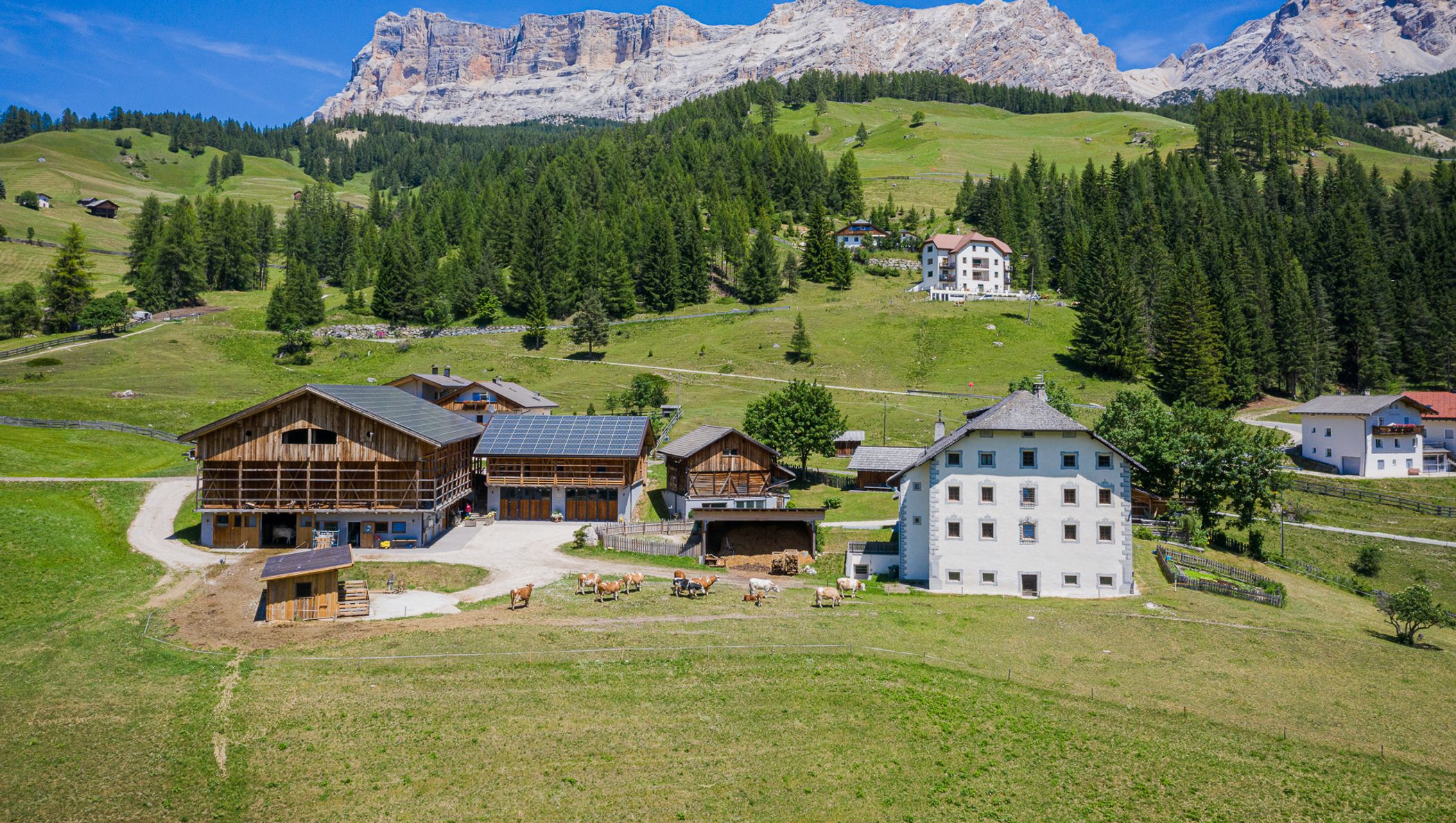 AlpenFein Gold - 100% Südtirol